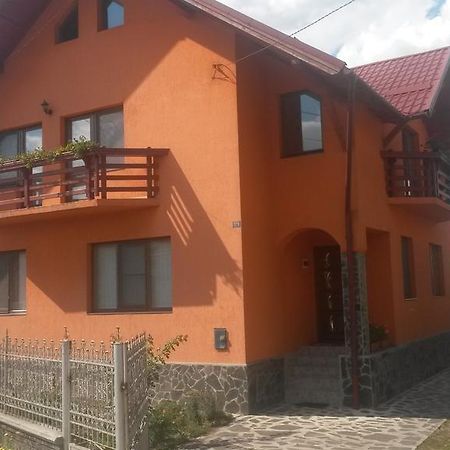 Pensiunea Adi Săpînţa Extérieur photo