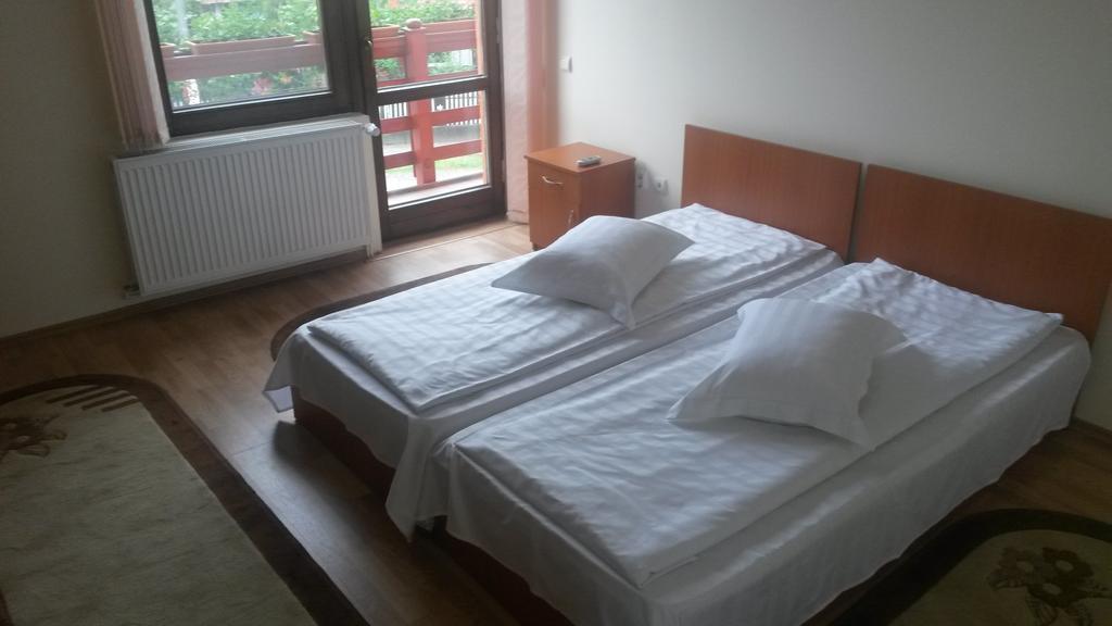 Pensiunea Adi Săpînţa Chambre photo