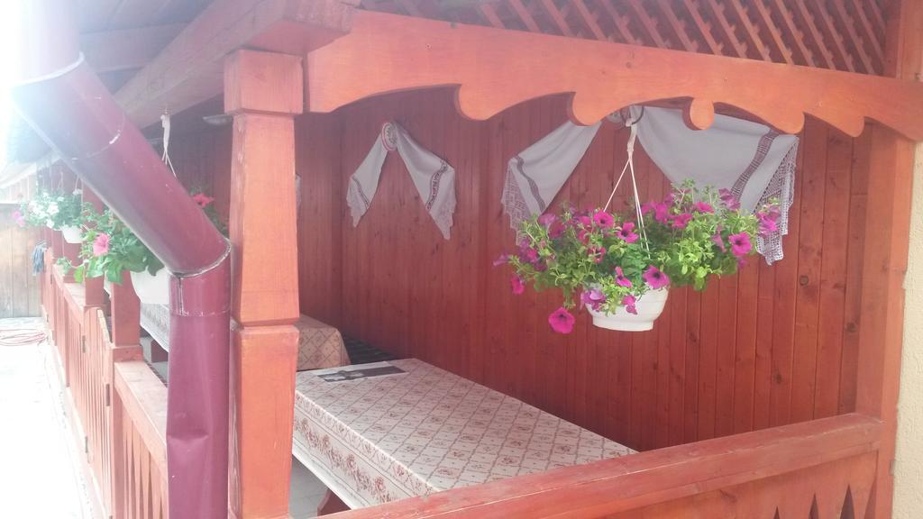 Pensiunea Adi Săpînţa Extérieur photo