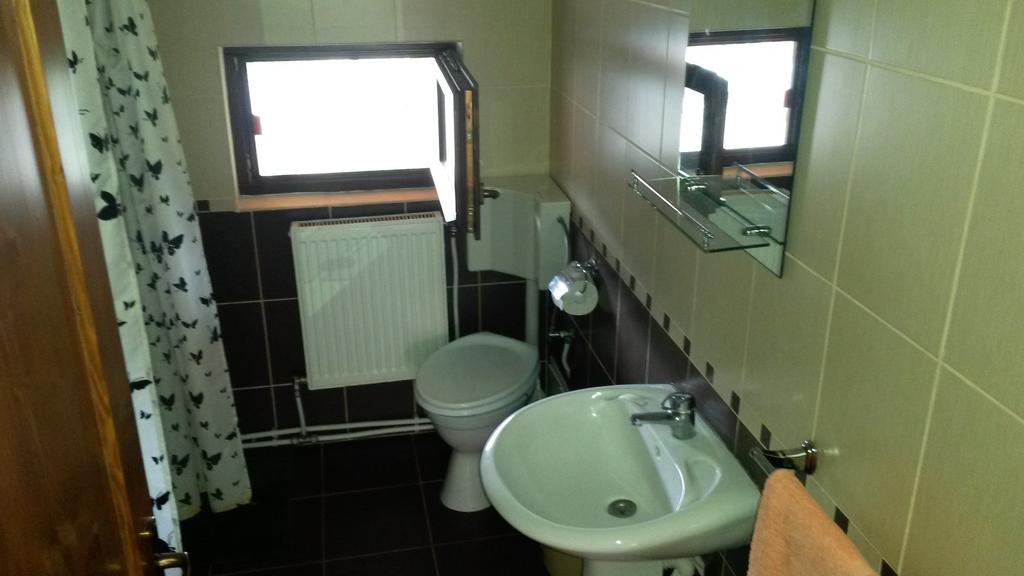 Pensiunea Adi Săpînţa Chambre photo