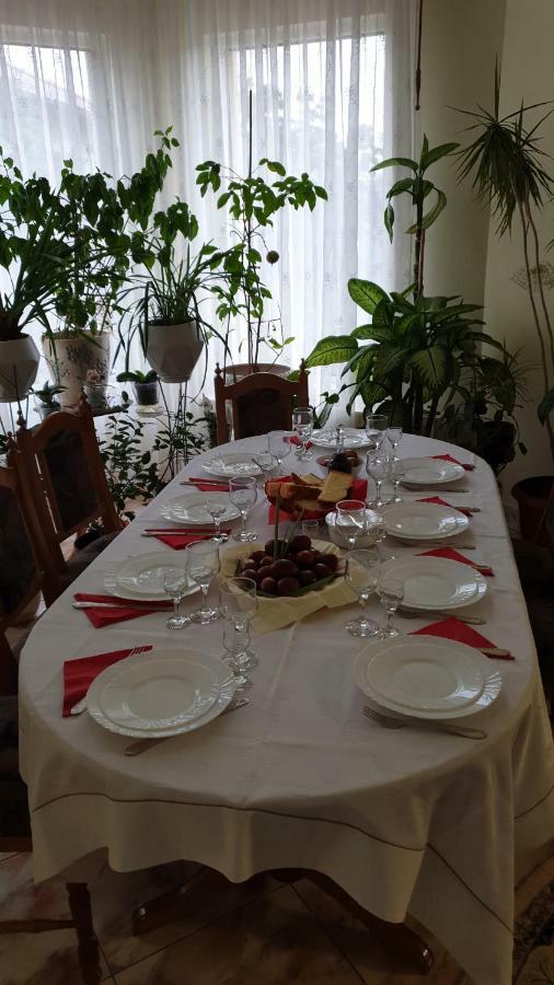Pensiunea Adi Săpînţa Extérieur photo